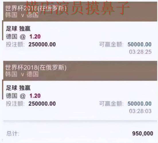 世界杯投注平台推荐合集：覆盖玩法指南+直播与入口方式 - 世界杯全球总决赛