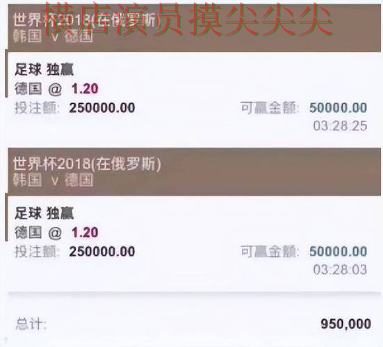 世界杯买球平台精选：玩法指南全指南 - 世界杯官方信息